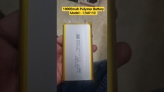 #10000mah Polimer Pil